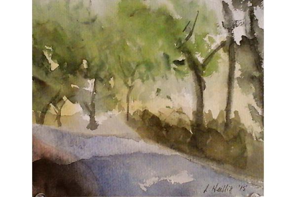 Landscapes